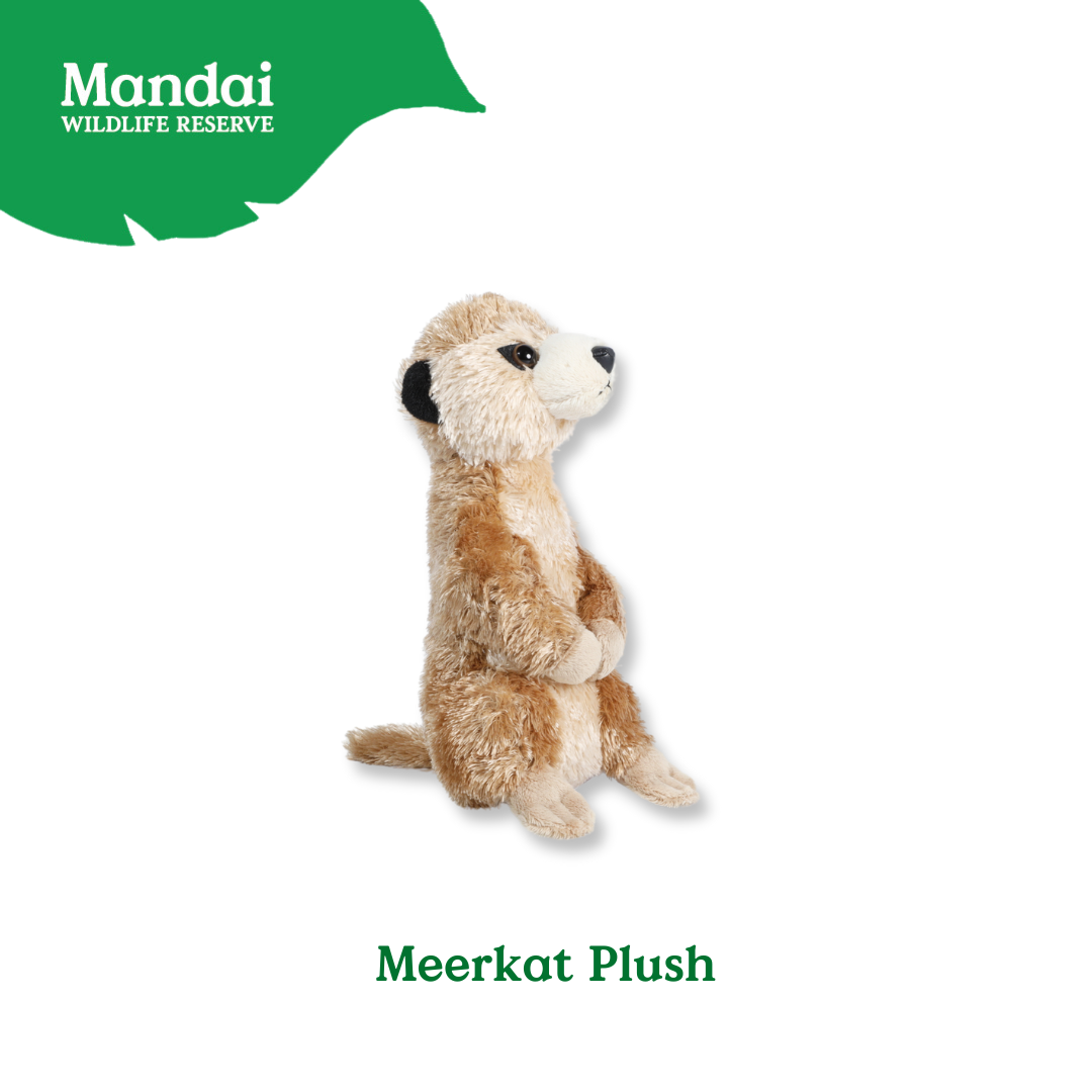 Meerkat Plush Exclusive to Mandai Wildlife Reserve