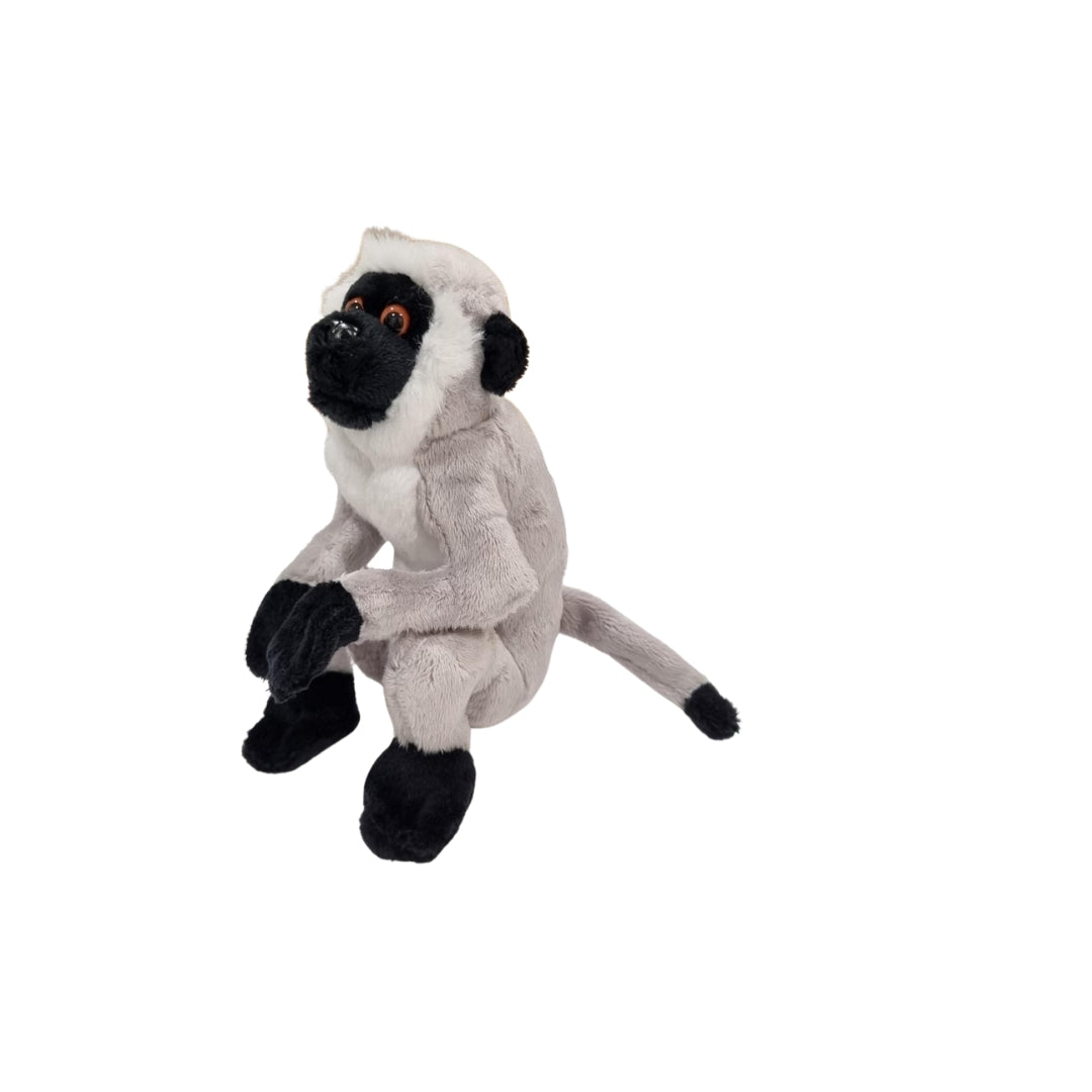 Velvet Monkey Beanie Plush 8"