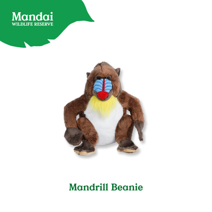 Mandrill Lemur Chimpanzee Velvet Monkey Plush Beanies Exclusive Collection from MANDAI WILDLIFE RESERVE