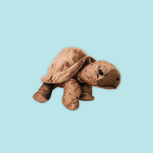 Tortoise Plush 12"