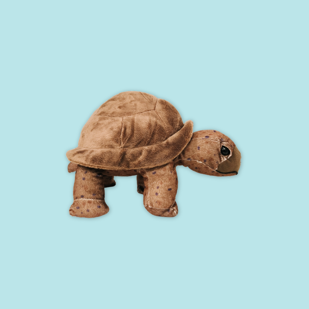 Tortoise Plush 12"