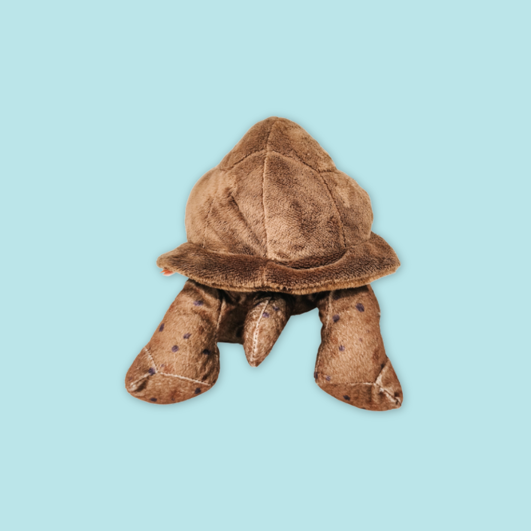 Tortoise Plush 12"
