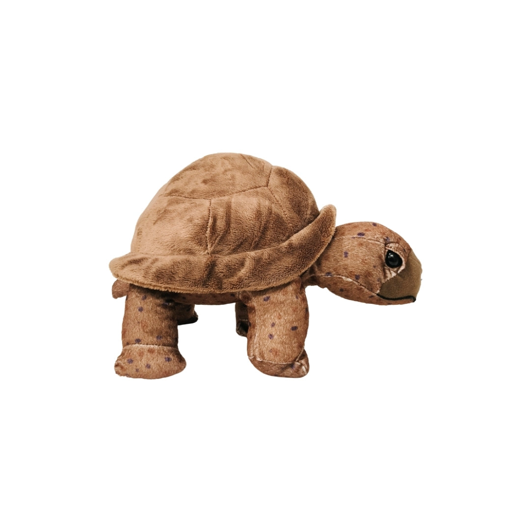 Tortoise Plush 12"