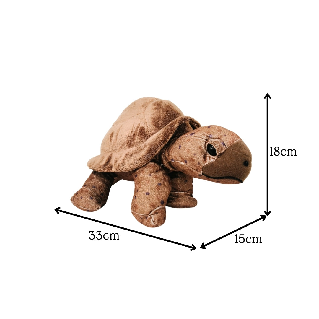Tortoise Plush 12"