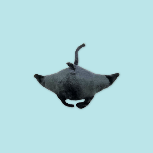 Manta Ray & Eagle Ray Beanie Plush Toys – Inspired by River Wonders MANDAI WILDLIFE RESERVE