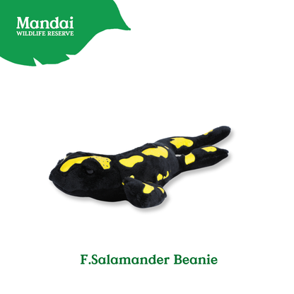 Discover Iguana Salamander at MANDAI WILDLIFE RESERVE