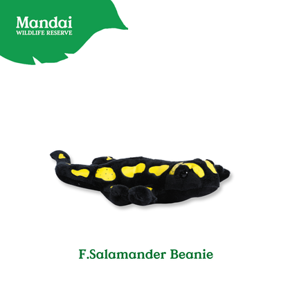 Discover Iguana Salamander at MANDAI WILDLIFE RESERVE