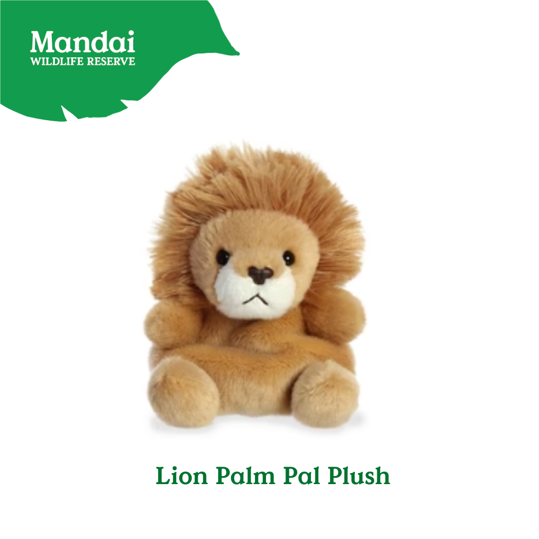 Adorable Tiger W Tiger Lion Cheetah Monkey Elephant Giraffe Beanie Plush Toy Palm Pal MANDAI WILDLIFE RESERVE