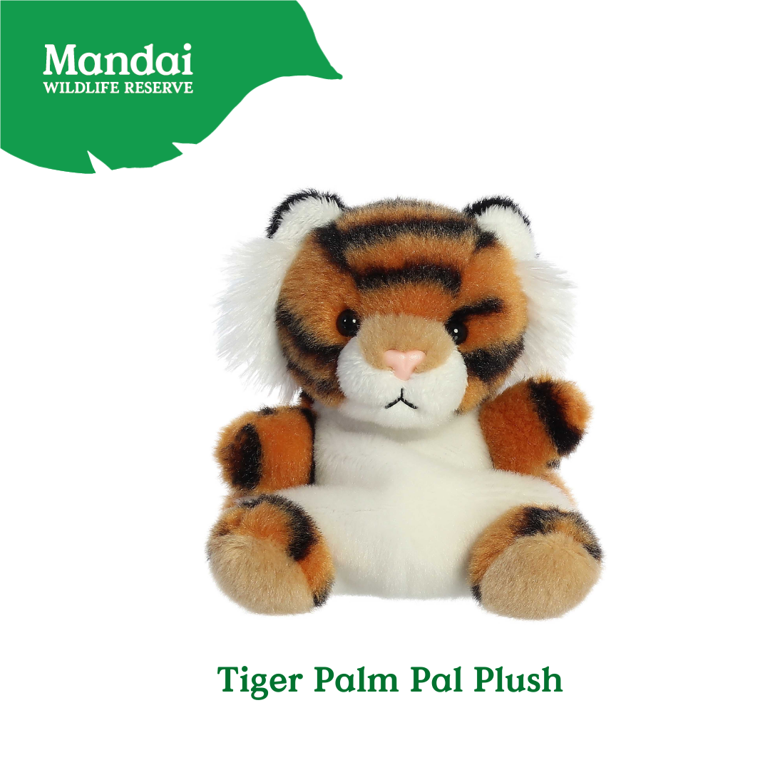 Adorable Tiger W Tiger Lion Cheetah Monkey Elephant Giraffe Beanie Plush Toy Palm Pal MANDAI WILDLIFE RESERVE