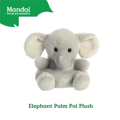 Adorable Tiger W Tiger Lion Cheetah Monkey Elephant Giraffe Beanie Plush Toy Palm Pal MANDAI WILDLIFE RESERVE