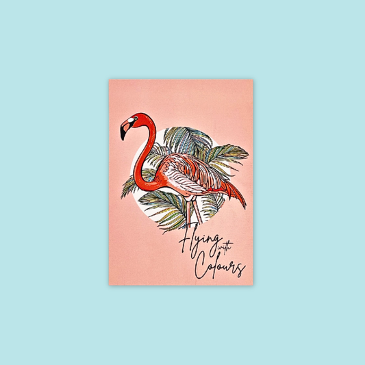 Flamingo Macaw Colorful Postcard Flying with Colors Bird Paradise MANDAI WILDLIFE RESERVE