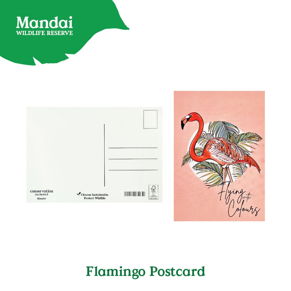 18154656_FLAMINGOPOSTCARD_2