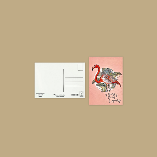 Flying With Colour Flamingo Postcard