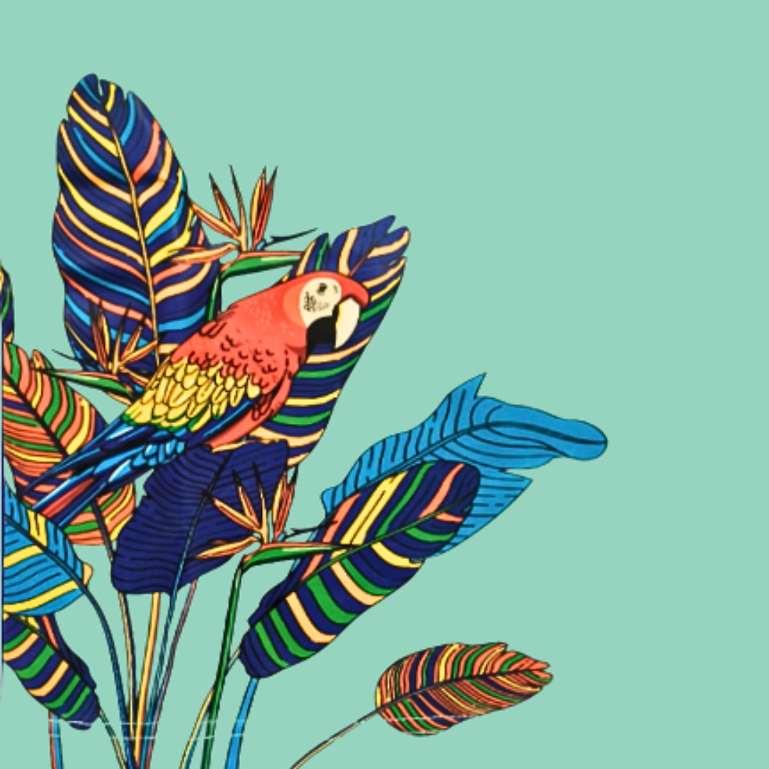 Flying With Colour Macaw Graphic Kids T-Shirt