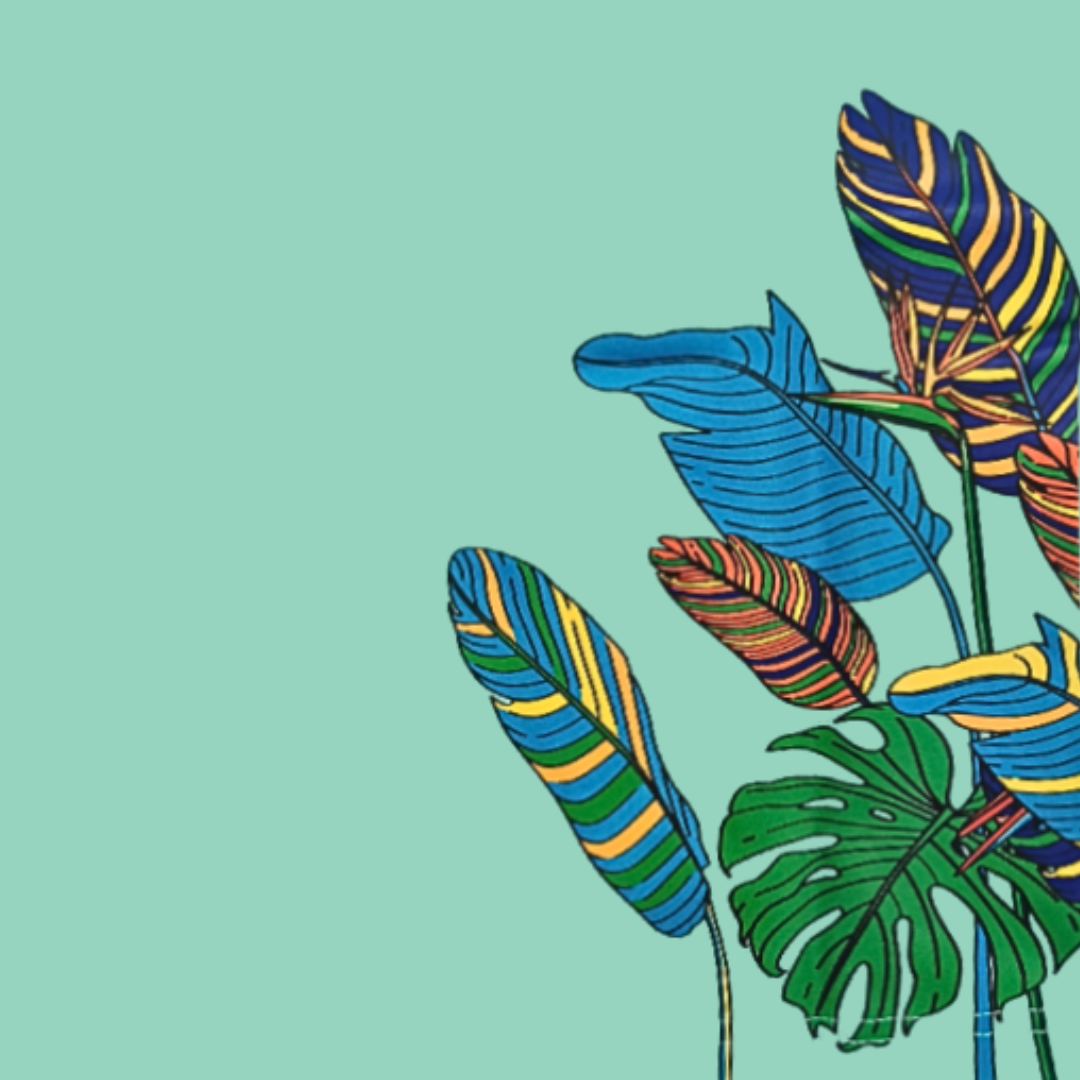 Flying With Colour Macaw Graphic Kids T-Shirt