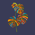 Flying With Colour Macaw Kids Shorts