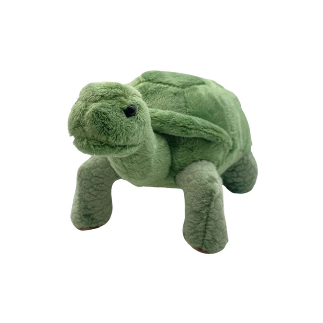 Tortoise Beanie Plush 8"