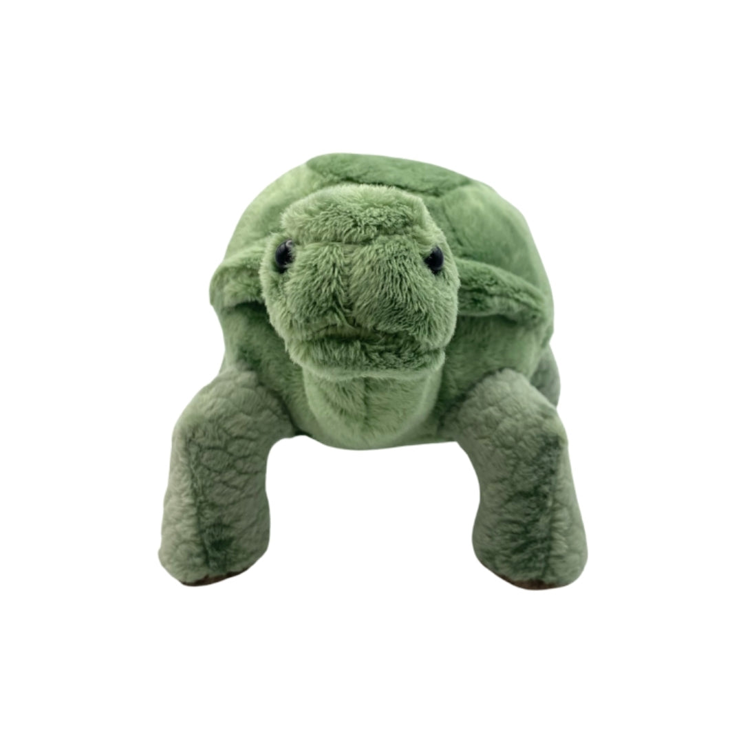 Tortoise Beanie Plush 8"
