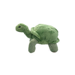 Tortoise Beanie Plush 8"