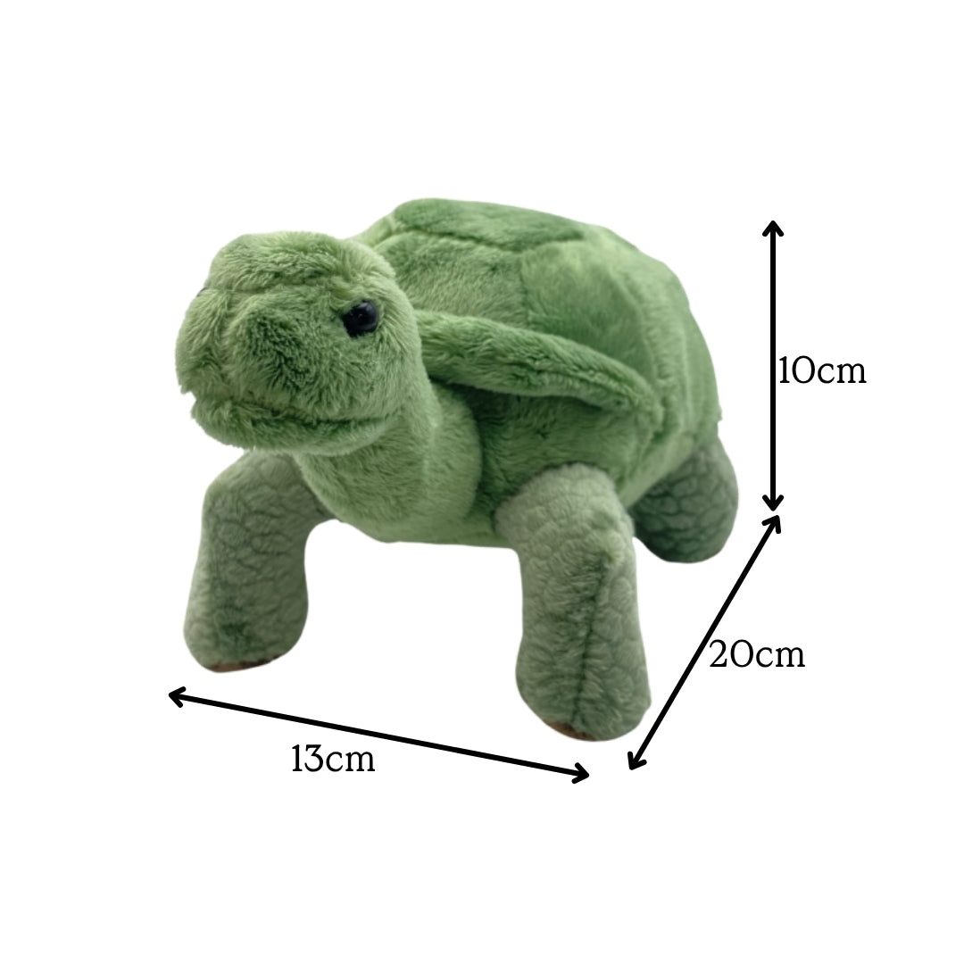 Tortoise Beanie Plush 8"