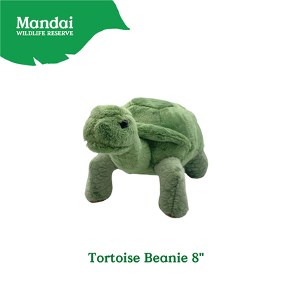 Anteater Tortoise Beanie Plush Exclusive MANDAI WILDLIFE RESERVE