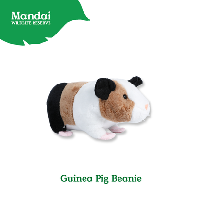 Hedgehogs Anteater Guinea Pig Beanies Adorably Crafted Exclusive MANDAI WILDLIFE RESERVE