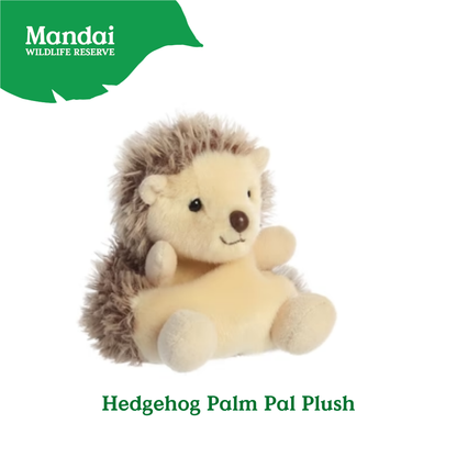 Adorable Sea Otter Sloth Hedgehog Aligator Red Panda Beanie Plush Toy Palm Pal MANDAI WILDLIFE RESERVE