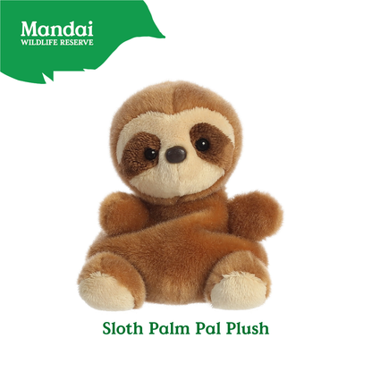 Adorable Sea Otter Sloth Hedgehog Aligator Red Panda Beanie Plush Toy Palm Pal MANDAI WILDLIFE RESERVE