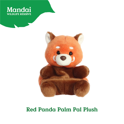 Adorable Sea Otter Sloth Hedgehog Aligator Red Panda Beanie Plush Toy Palm Pal MANDAI WILDLIFE RESERVE