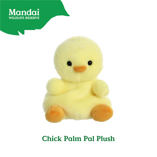 Adorable Animal Hippo Chick Sahal Owl Barnie Owl Stingray Luna Bat Flamingo Macaw Palm Pal Plush MANDAI WILDLIFE RESERVE