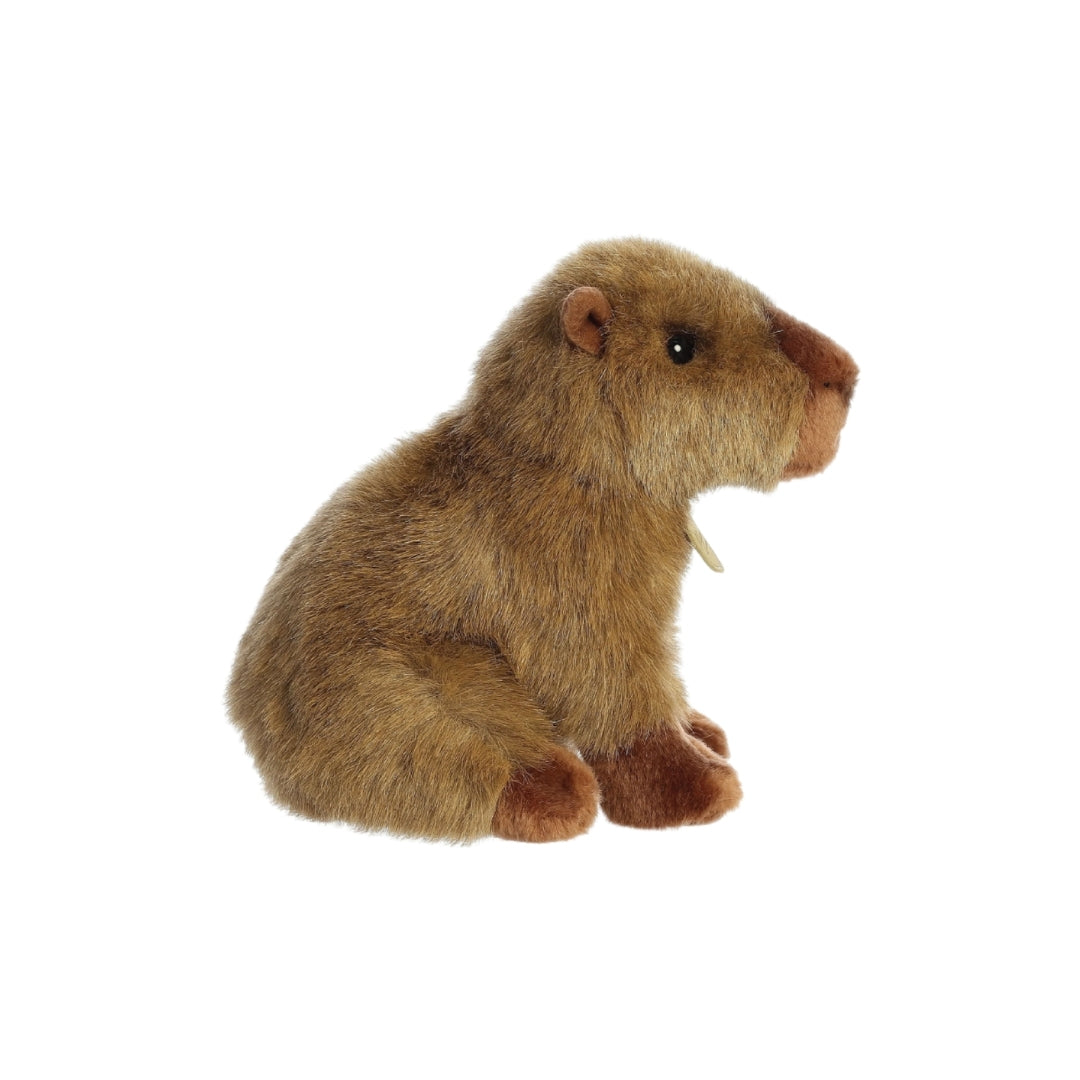 Sitting Capybara Plush 7.5"
