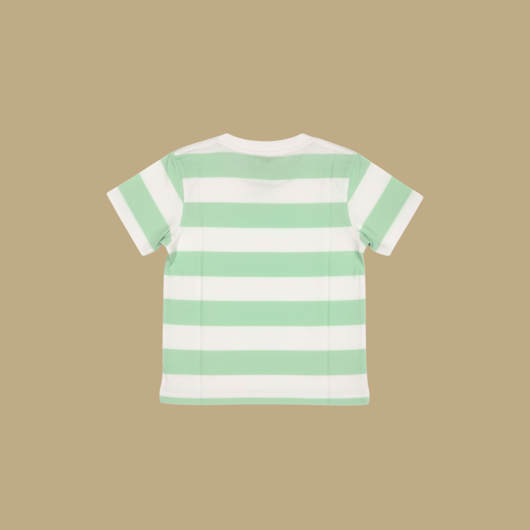 Bird Paradise Penguin Stripe Kid T-Shirt