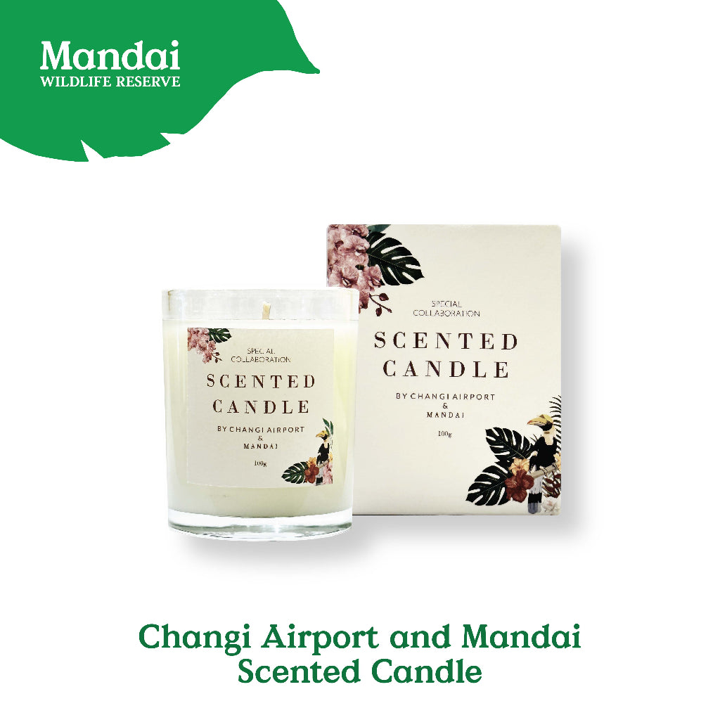 Changi Airport Scent Collaboration Room Spray Diffuser Candle Exclusive MANDAI WILDLIFE RESERVE