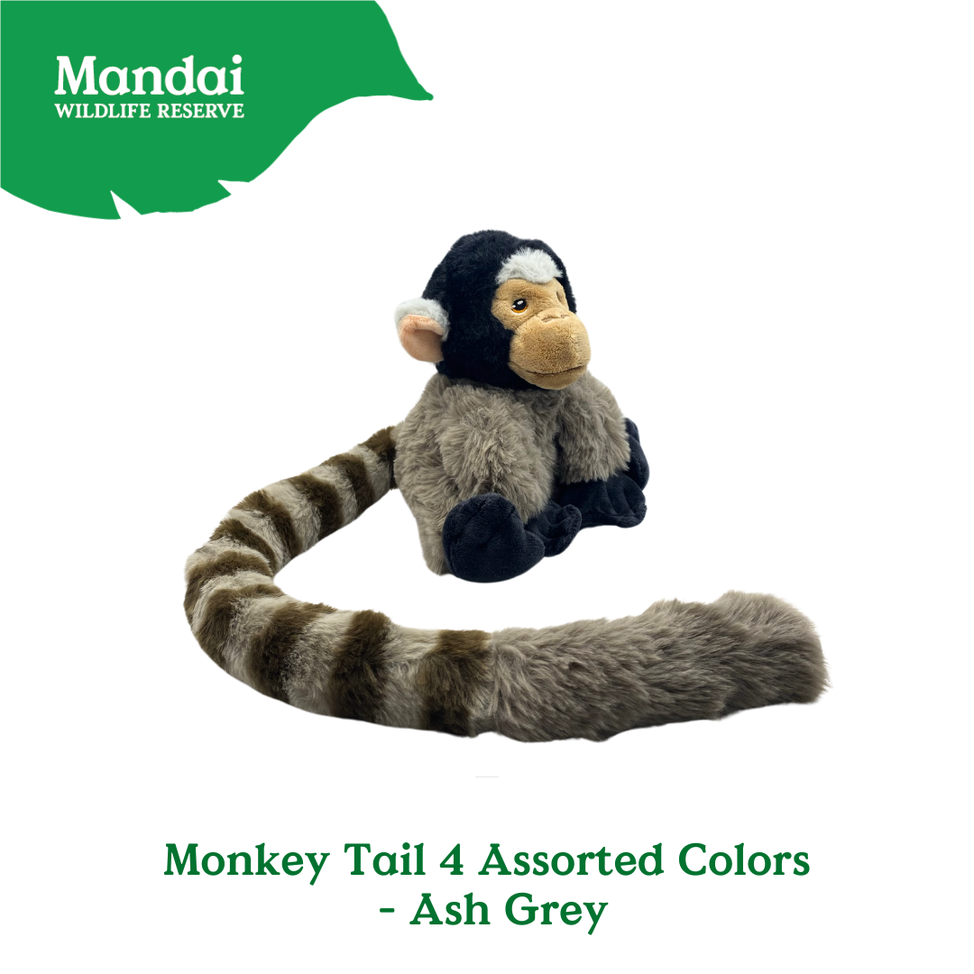 Discover Monkey Families Plushie  at MANDAI WILDLIFE RESERVE