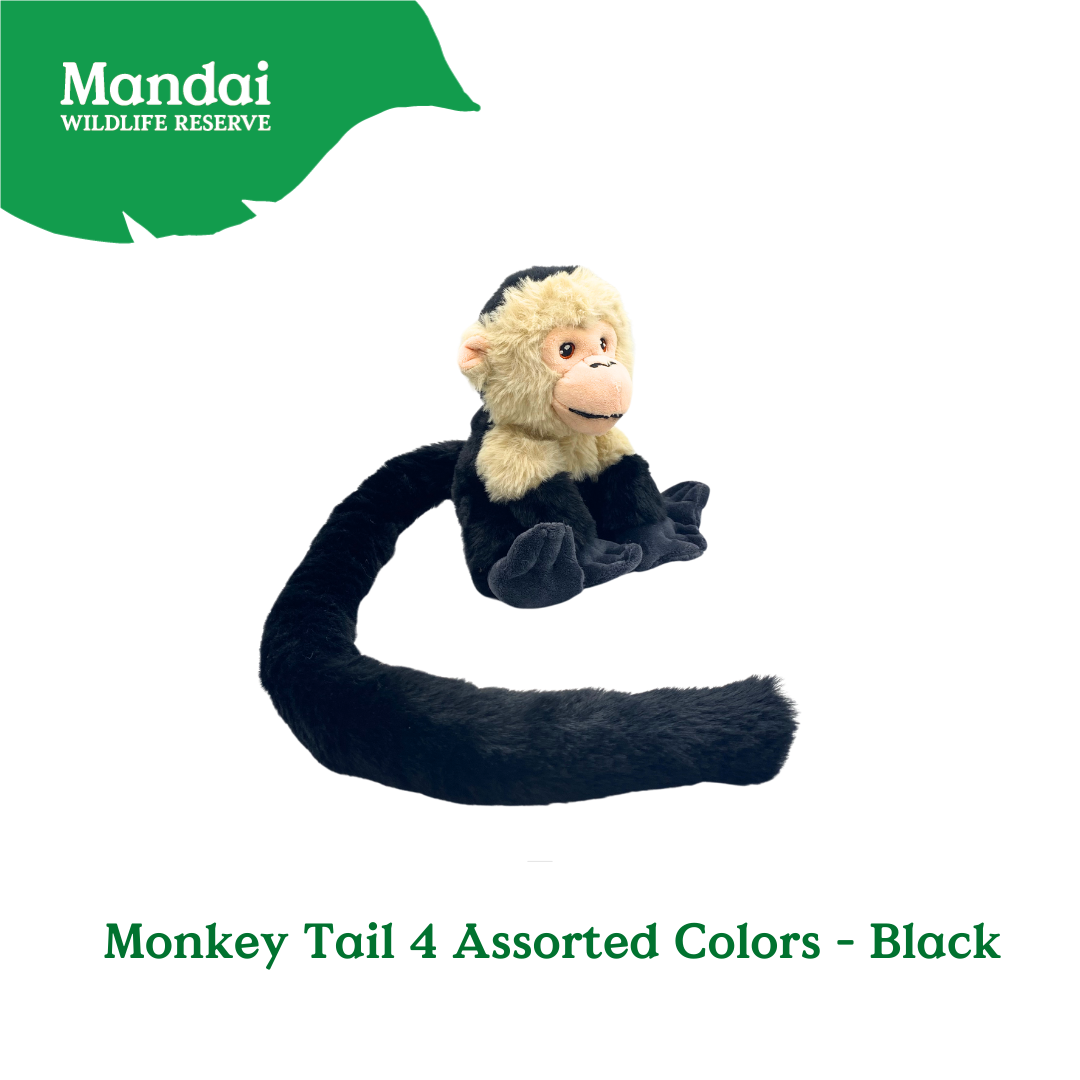 Discover Monkey Families Plushie  at MANDAI WILDLIFE RESERVE