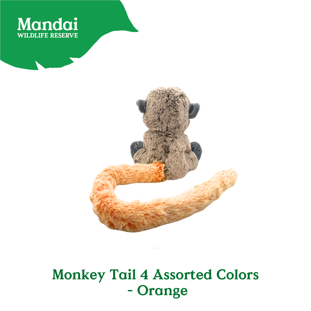 Discover Monkey Families Plushie  at MANDAI WILDLIFE RESERVE