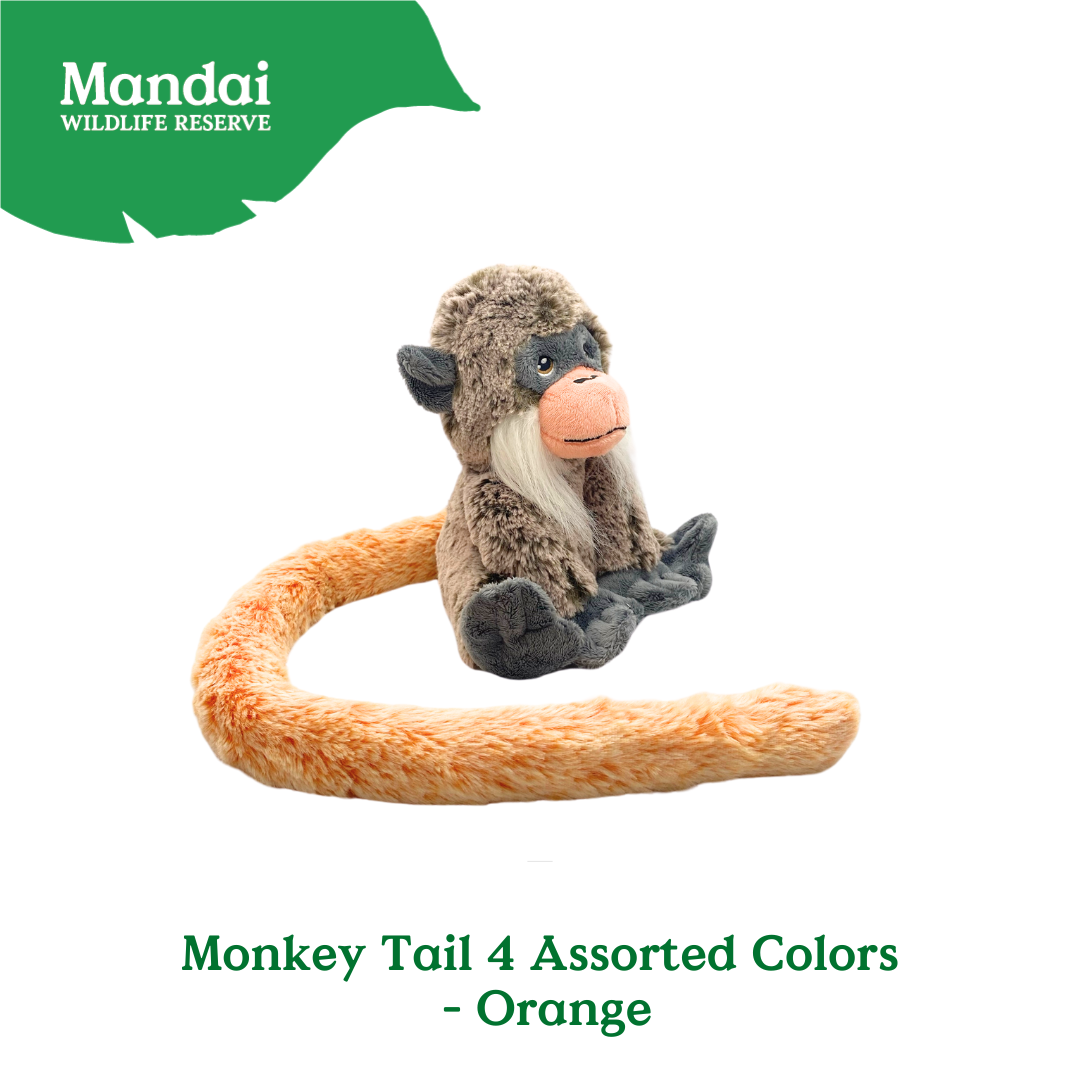 Discover Monkey Families Plushie  at MANDAI WILDLIFE RESERVE
