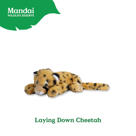 Lying Cheetah Lion Tiger Plush Toys: Exclusive Collection from MANDAI WILDLIFE RESERVE