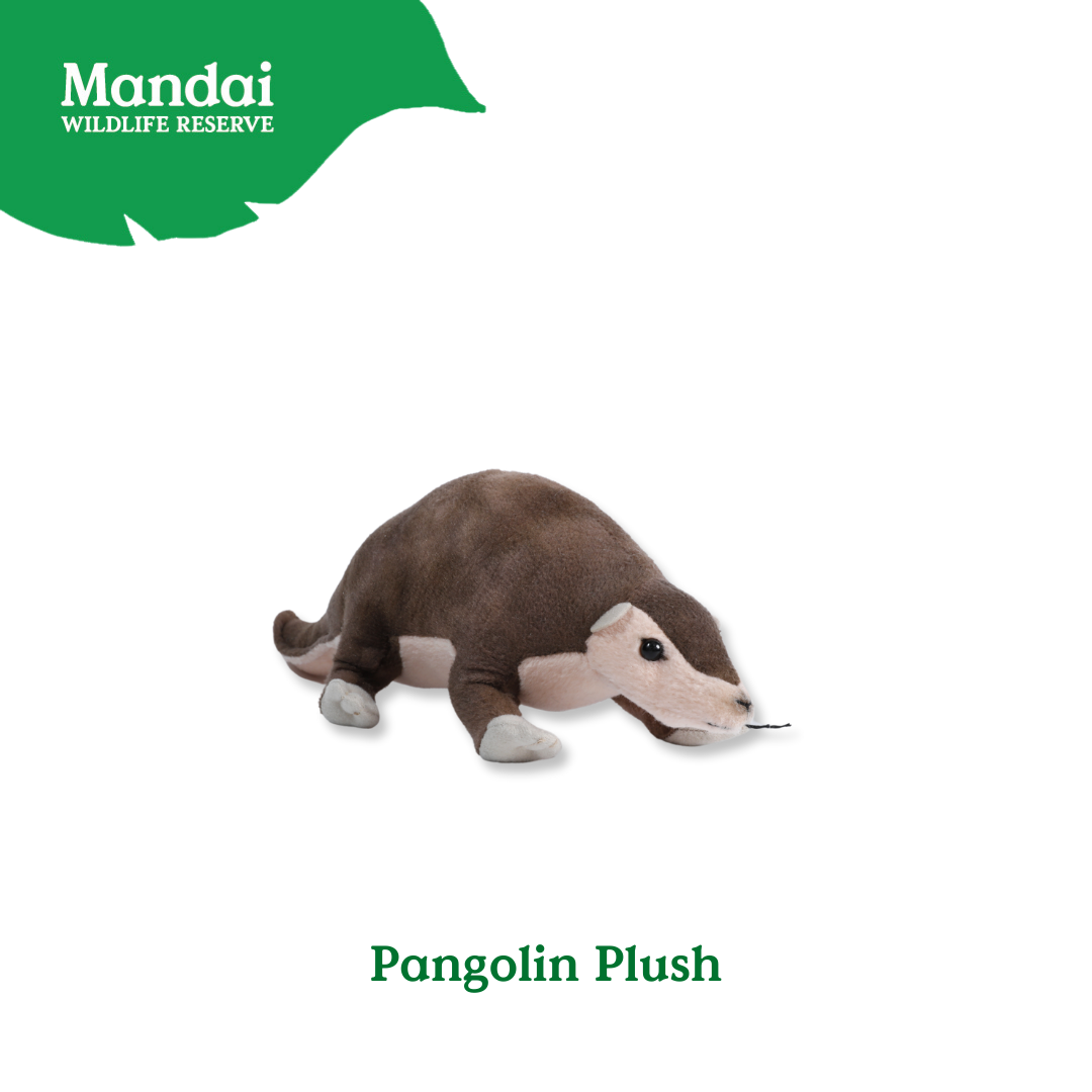 Pangolin Tasmania Devil Armadillo Kiwi Bird Plush Keychain Best Selling MANDAI WILDLIFE RESERVE