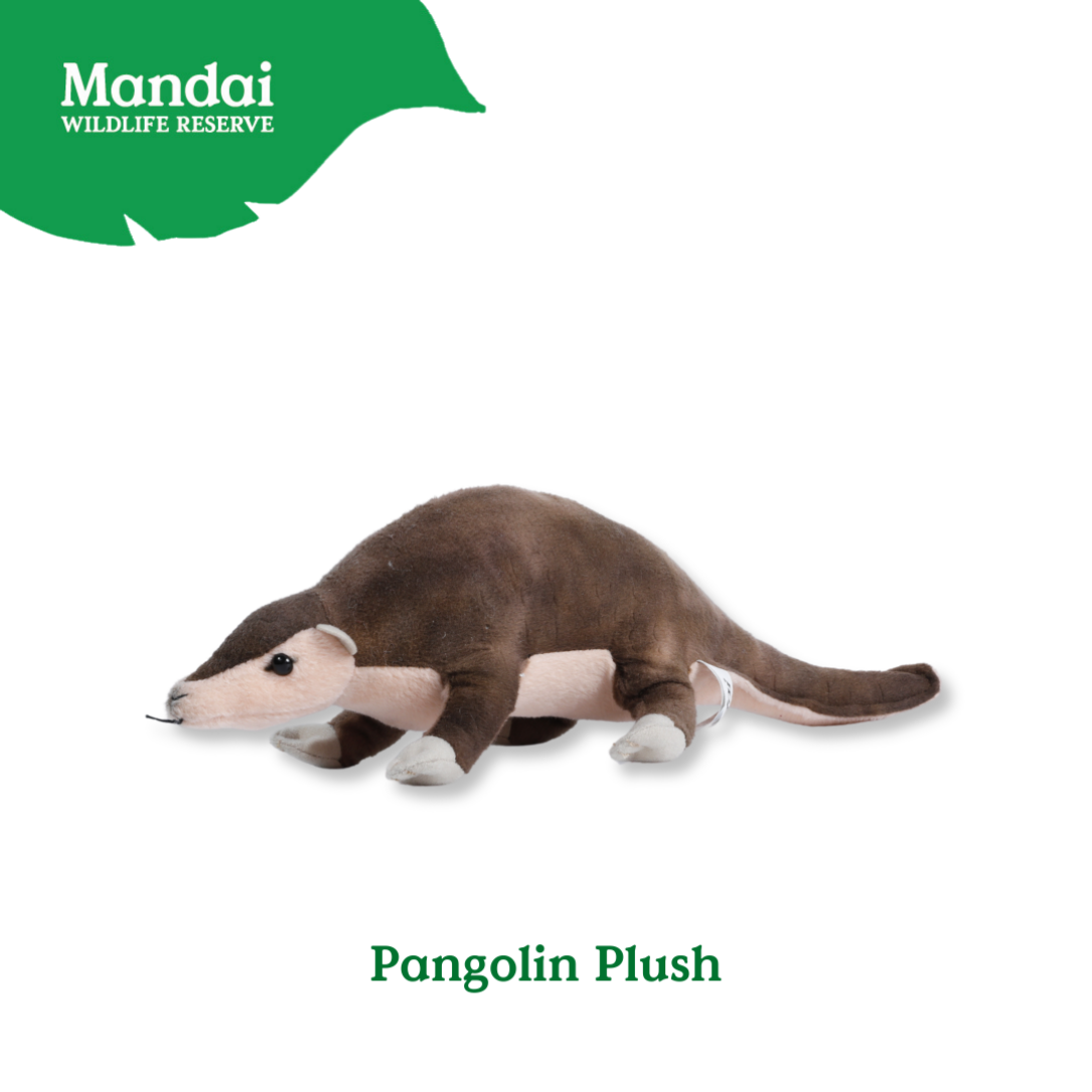 Pangolin Tasmania Devil Armadillo Kiwi Bird Plush Keychain Best Selling MANDAI WILDLIFE RESERVE