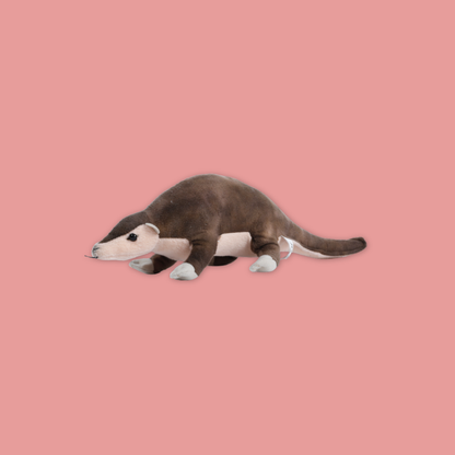 Pangolin Tasmania Devil Armadillo Kiwi Bird Plush Keychain Best Selling MANDAI WILDLIFE RESERVE
