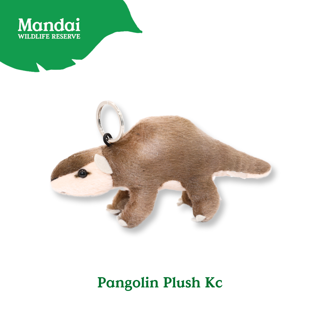 Pangolin Tasmania Devil Armadillo Kiwi Bird Plush Keychain Best Selling MANDAI WILDLIFE RESERVE