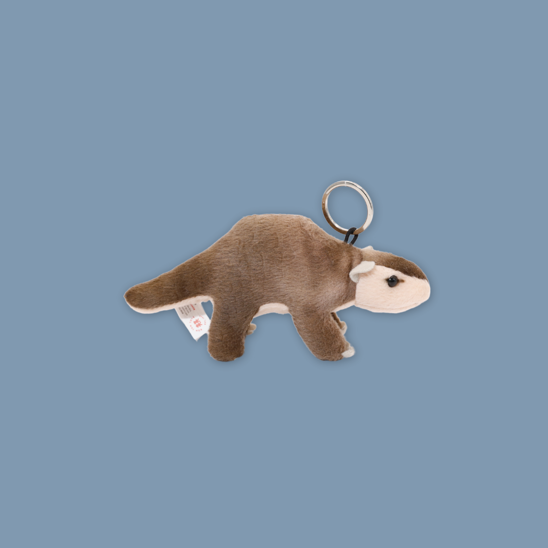 Pangolin Tasmania Devil Armadillo Kiwi Bird Plush Keychain Best Selling MANDAI WILDLIFE RESERVE