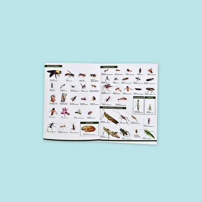 Guide to Common Insects & Birds of Park & Garden at MANDAI WILDLIFE RESERVE