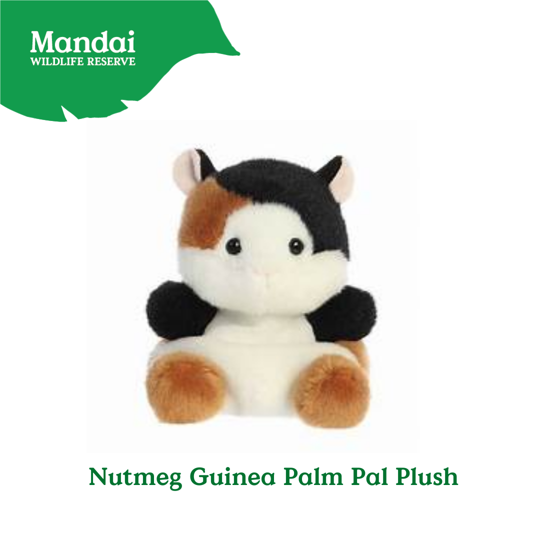 Adorable Animal Spotted Pig Hamster Guinea Pig Pony Bunnies Palm Pal Plush MANDAI WILDLIFE RESERVE