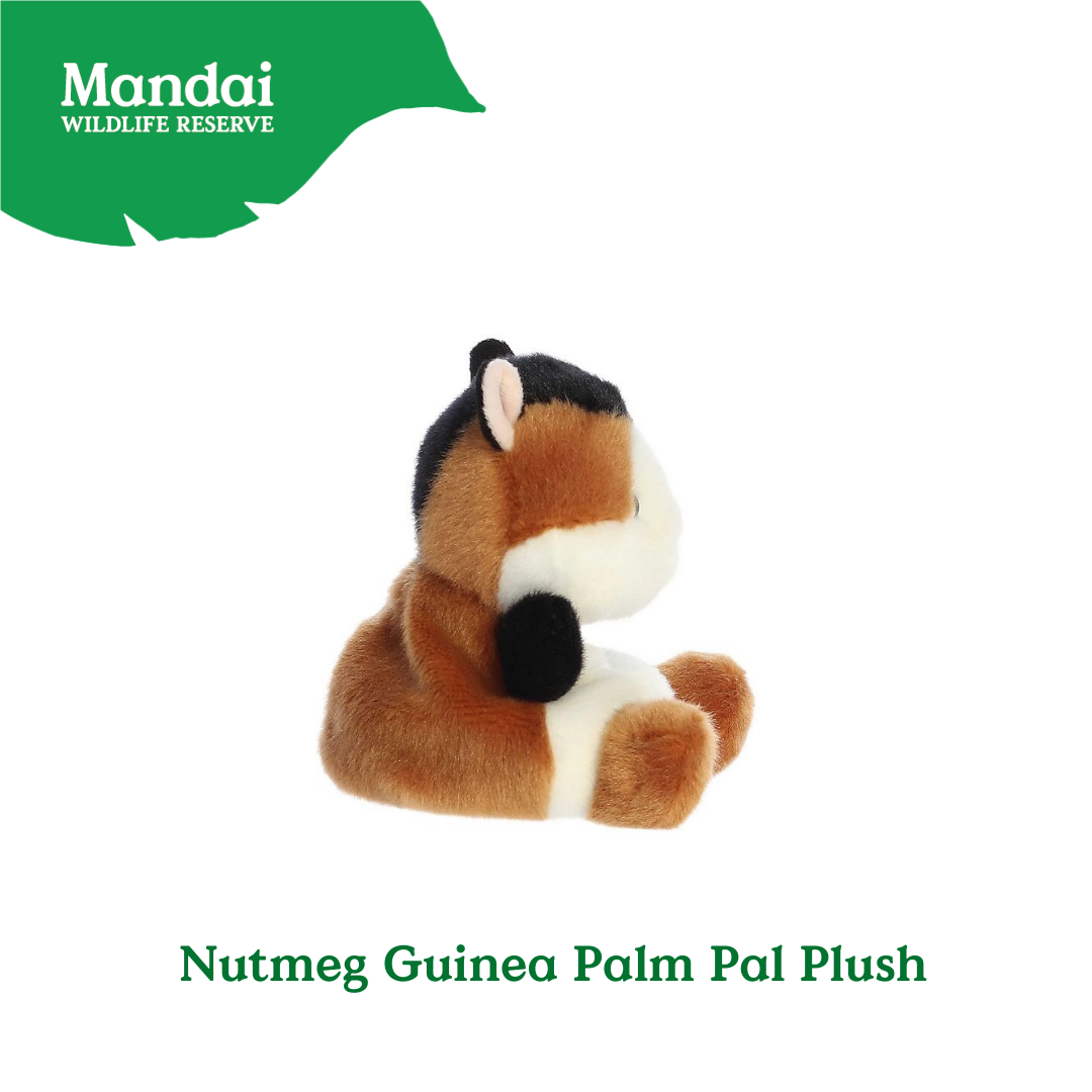Adorable Animal Spotted Pig Hamster Guinea Pig Pony Bunnies Palm Pal Plush MANDAI WILDLIFE RESERVE
