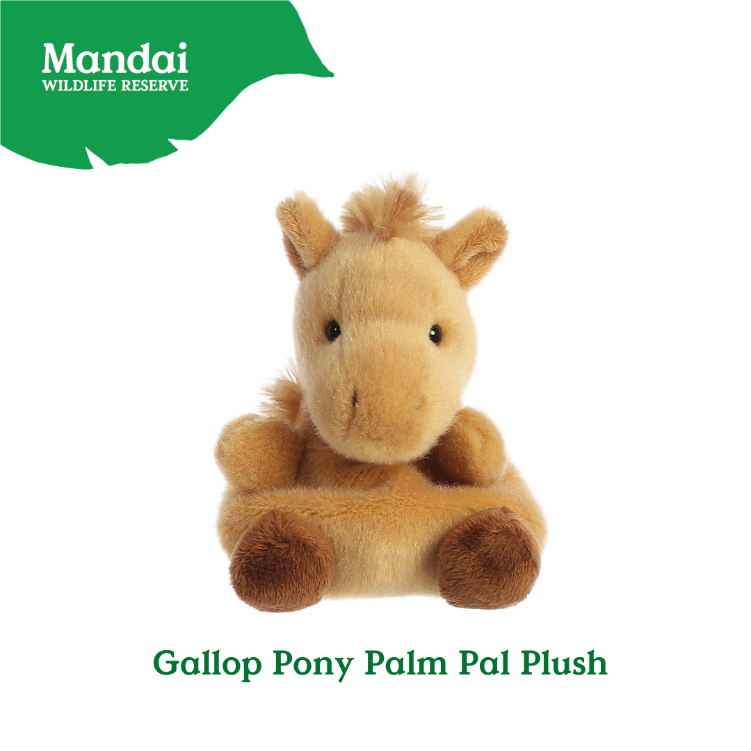 Adorable Animal Spotted Pig Hamster Guinea Pig Pony Bunnies Palm Pal Plush MANDAI WILDLIFE RESERVE
