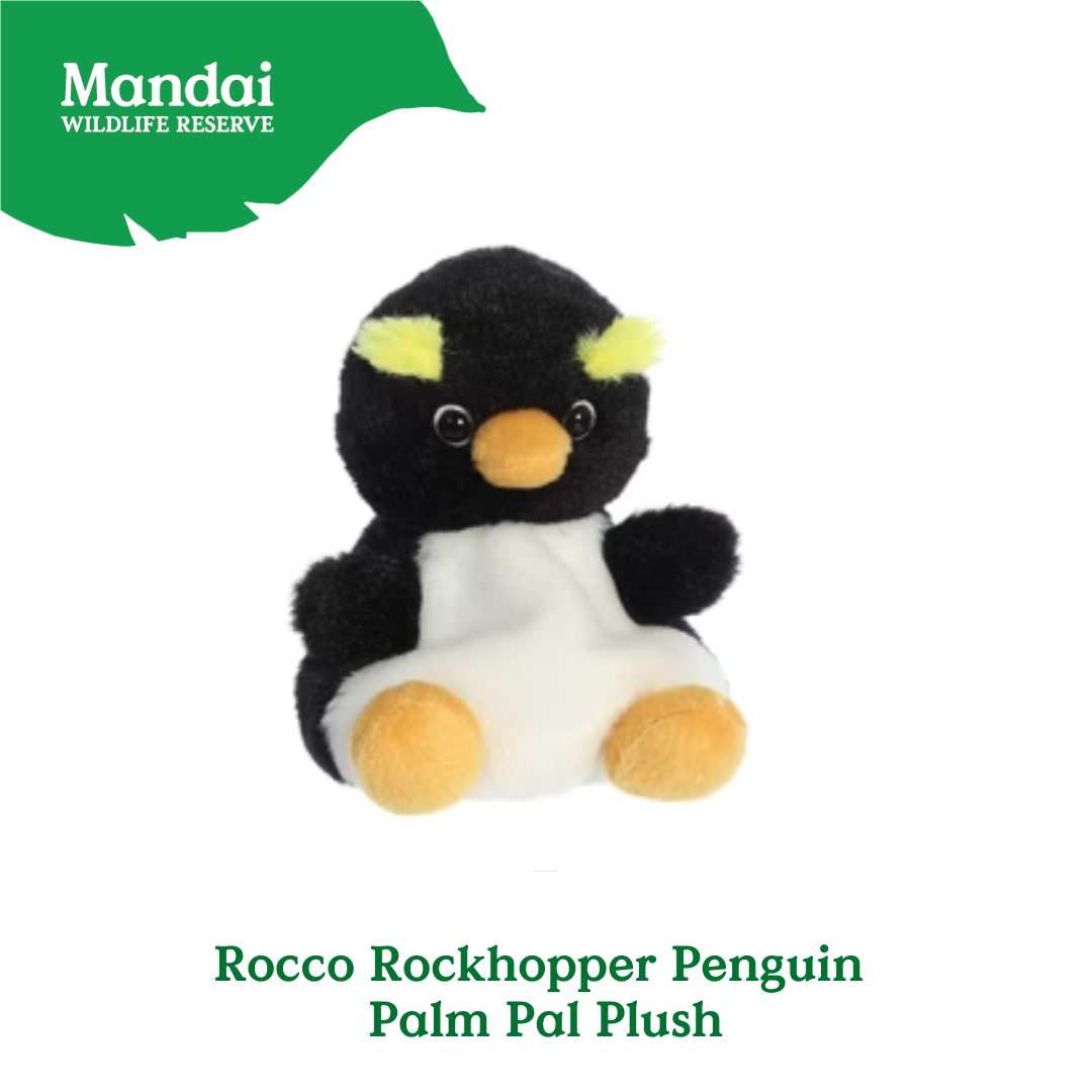 Adorable Animal Hippo Chick Sahal Owl Barnie Owl Stingray Luna Bat Flamingo Macaw Palm Pal Plush MANDAI WILDLIFE RESERVE