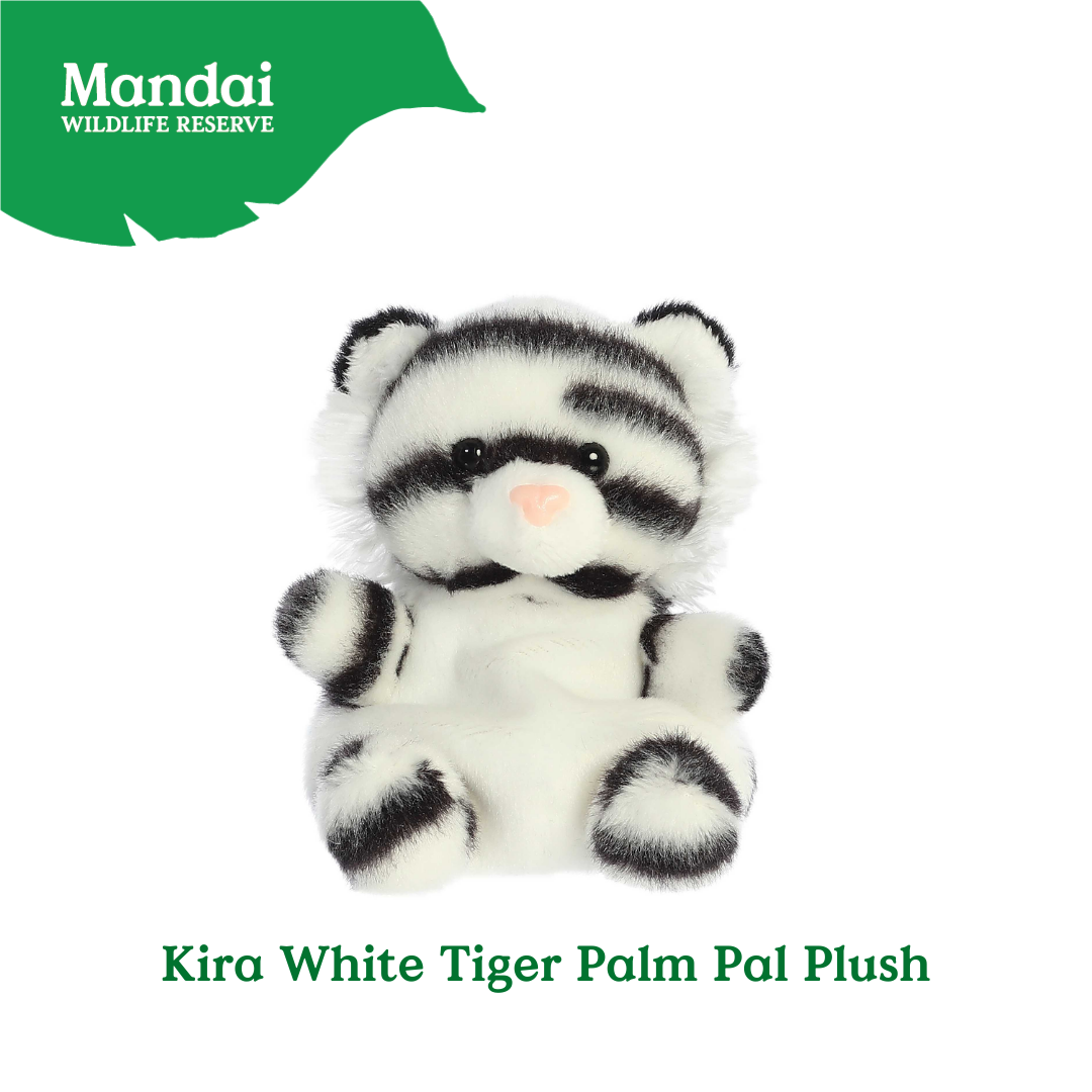 Adorable Tiger W Tiger Lion Cheetah Monkey Elephant Giraffe Beanie Plush Toy Palm Pal MANDAI WILDLIFE RESERVE