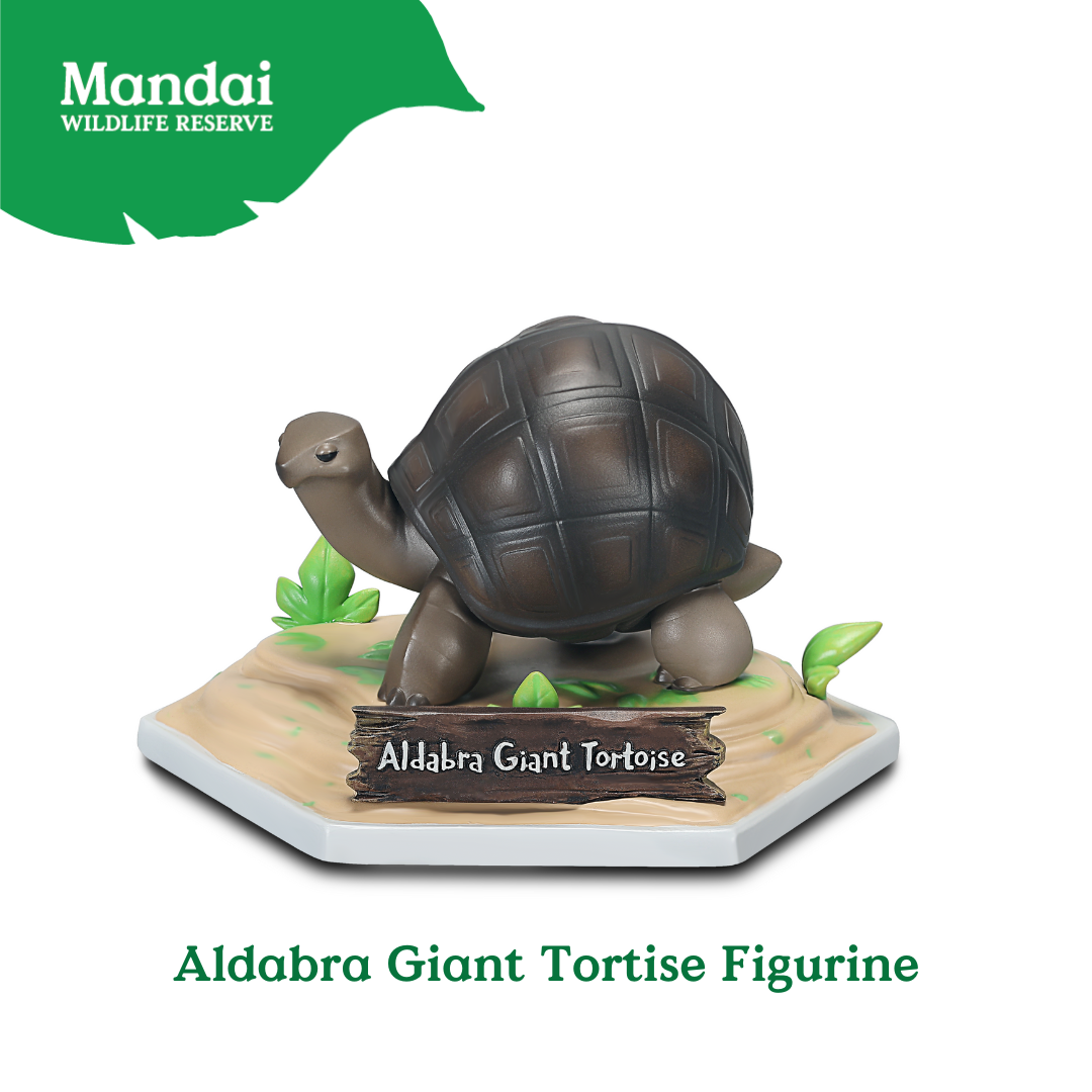 Aldabra Giant Tortise Figurine XM Studio